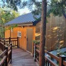 편백자연휴양림 이미지