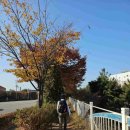 남항배수펌프장 이미지