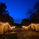 양지파인글램핑 이미지