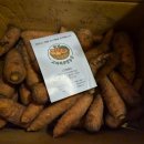 하루방 | 구좌당근 제주당근 햇당근 고씨하루방농장 후기:))