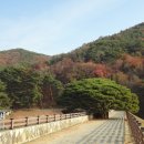 법기수원지 이미지