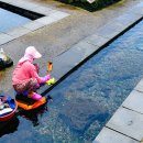 샛도리물 이미지