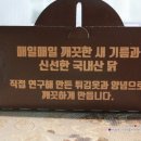 기분좋은닭 이미지