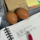 [0904-0918] 쿨쿨따 ... zZ ... 둥근 해 미친 거 또 떴네