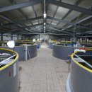 설악민물장어 이미지