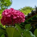 성림목장 이미지