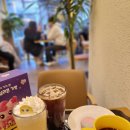 의정부 카페 가능동 디저트 맛집 &#39;메가커피 의정부가능초점&#39; 슈팅스타 캐치티니핑 달나라캠핑 굿즈