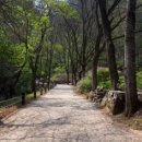 물깨말구구리길(봄내길 2코스) 이미지