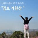진달래유치원 | 진달래 만개한 김포 가현산 으로 가벼운 산행