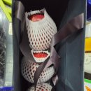 가온 골프존 | 골프장 출근! 화성행궁 유일 골프존 가온스크린 이의동 연무동 우만동 매교동 스크린 골프장 추천!250...