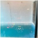 고성 애견동반펜션 풀펫 | 고성 애견동반 펜션 풀펫, 반려견과 함께 즐기는 괜찮은 휴식처^^