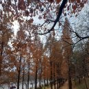 난지천1(난지주차장) 이미지