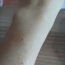 박규홍비뇨기과의원 이미지