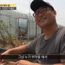 갑부조경 이미지