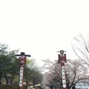 신선토종순대국 이미지