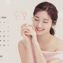 코티니 이미지