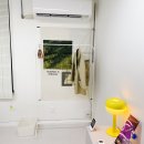 다비치안경 행신점 | 일산화정 아이래쉬미 무쌍 속눈썹펌 후기