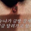 옷구경 이미지