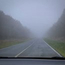 제이팜 | 비 오는 제주, 냄새에 이끌려 들어간 '제이팜 정육식당' 흑돼지 순삭 후기 (feat. 속기 키보드)