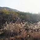 경남 산청군 시천면 지리산 입구 임야,전,답 474,188.51㎡매매 이미지