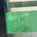레인패션진주지사 | 06. 한 번도 빛난 적 없었던 미지의 향으로 온 세상을 물들여
