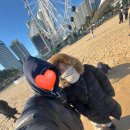 현태네튀김2호점 | [후기]1년 만에 다시 먹은 속초 항아리 물회+속초 중앙시장 먹거리 리스트 추천