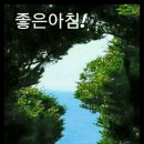 사촌들