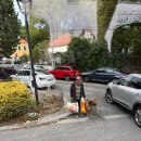 그린별장 | [포르투갈_리스본] Day4-헤갈레이라 별장, 페나궁전, 카스카이스, 호카곶