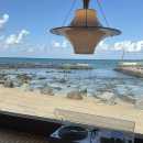 집의 기록 | 집의기록상점 내돈내산 솔직후기 에그타르트 맛집?