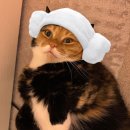 부인터 여성전용 한증막 이미지