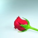인우상사