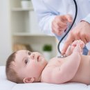 테라리움동물병원 이미지