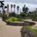 올라비양 이미지