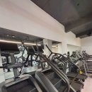 엑스퍼티짐 이미지