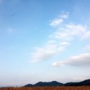 일번가식당 이미지