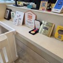 행복펫 애견미용실 | 목동 애견미용실 고민하다가, 화곡동에서 넘어온 현실 후기