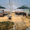 대감삼통마을 이미지