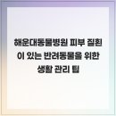 힐 동물병원 | 해운대동물병원 피부 질횐이 있는 반려동물을 위한 생활 관리 팁