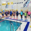 수영태권도아카데미 이미지