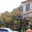 도토리 태양광발전소 이미지