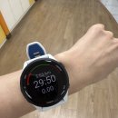 양덕중앙 홈런공원 | 가민 포러너 265 화이트 당근 후기 / 기아 스윕승 인생경기 본날
