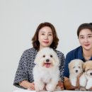 꼬똥사파이어 이미지