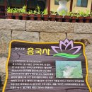 지축동 흥국사길 | 지축동 템플스테이가 핫한 흥국사 다녀왔어요. 북한산맛집 코다리밥도둑 내돈내산 솔직후기