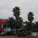 동성주유소 이미지