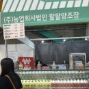 2025 막스포 후기 | 양재 막걸리엑스포 웨않가나요
