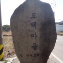 멍텅구리신발