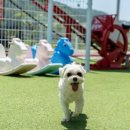 조이오토주유소 | (경상북도 경주 펜션) 경주 조이풀빌라앤키즈펜션 (Gyeongju joypoolvilla &amp; kidspension)