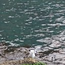 행남마을 공중화장실 이미지