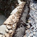 시암농장 이미지