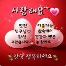 🌺🍒 희망찬 새해 아침 이미지